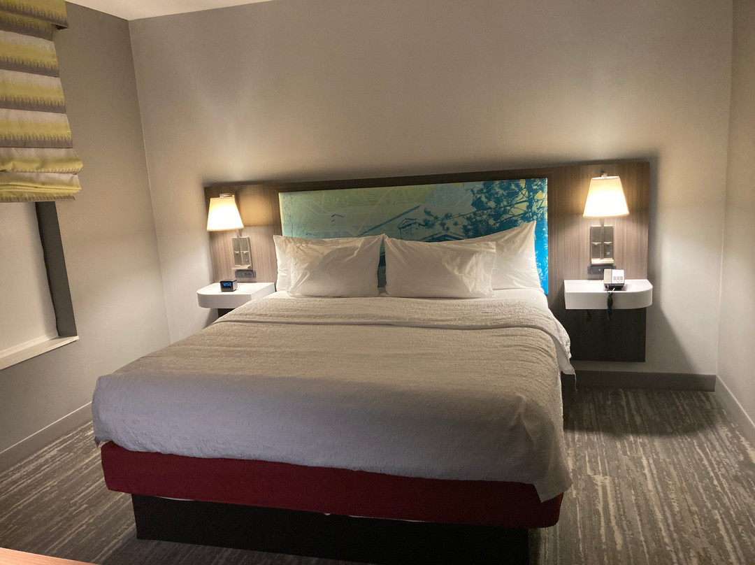 Hampton Inn & Suites Detroit/allen Park主图