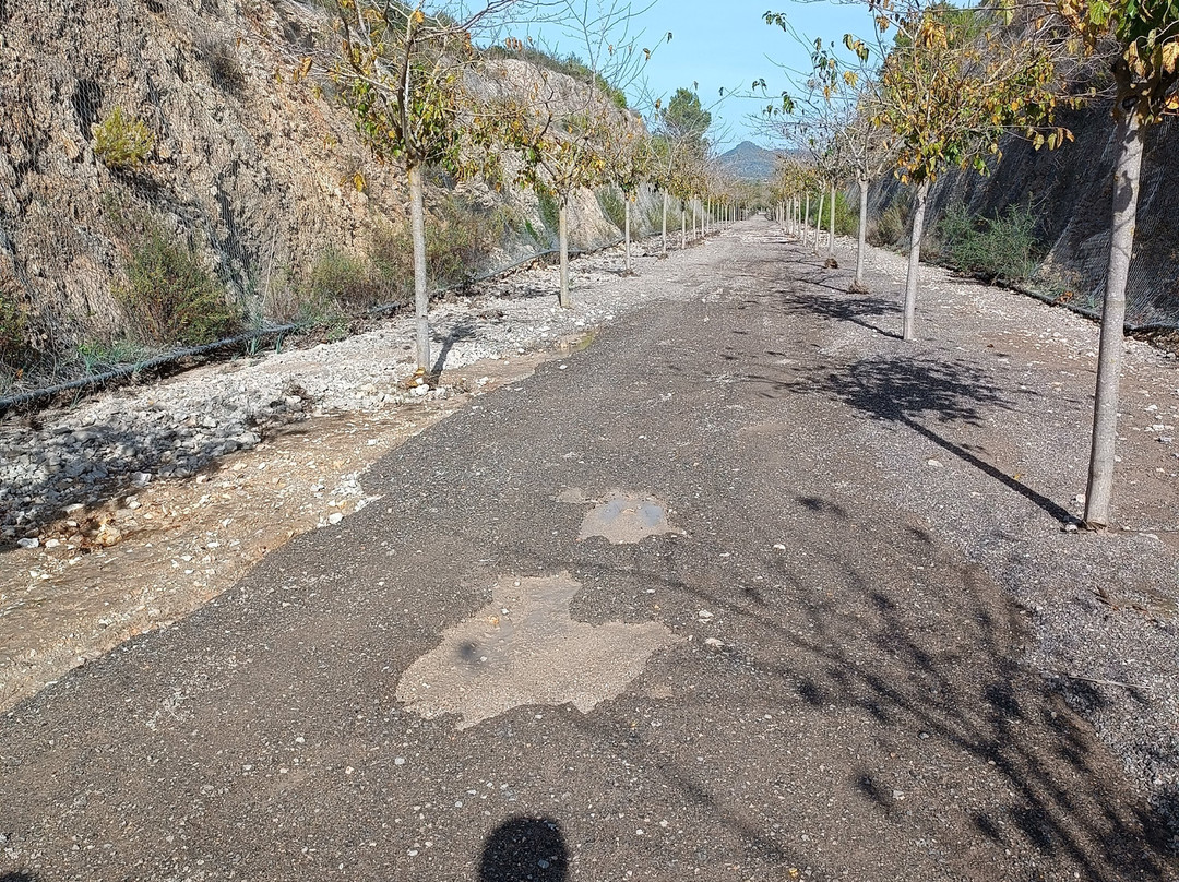 Via Verde Manacor-Arta-Arta必去景点