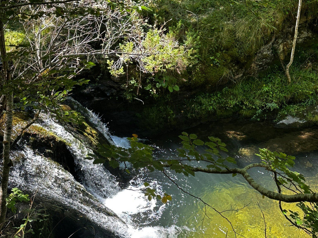 Parque Natural Sierra Cebollera景点图片