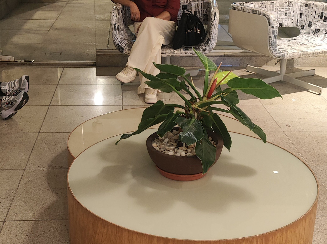 Brisa Praia Hotel主图