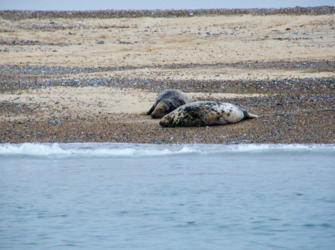 Temples Seal Trips & Blakeney Point-Morston必去景点