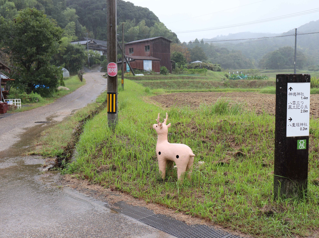 Haniwa Road景点图片