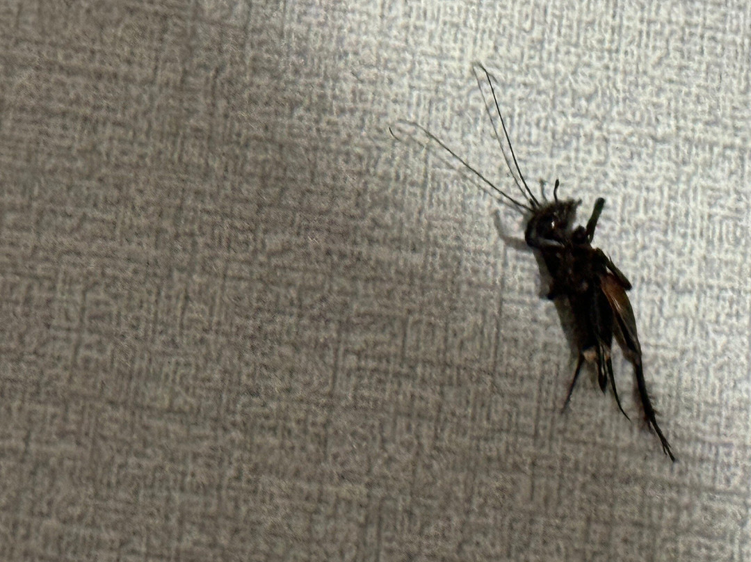 Quality Inn & Suites主图