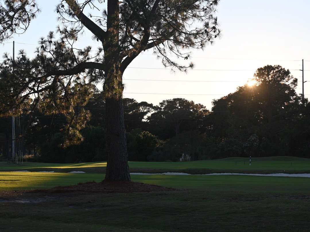 PineHills & Palmetto at Myrtlewood Golf Club-美特尔海滩必去景点