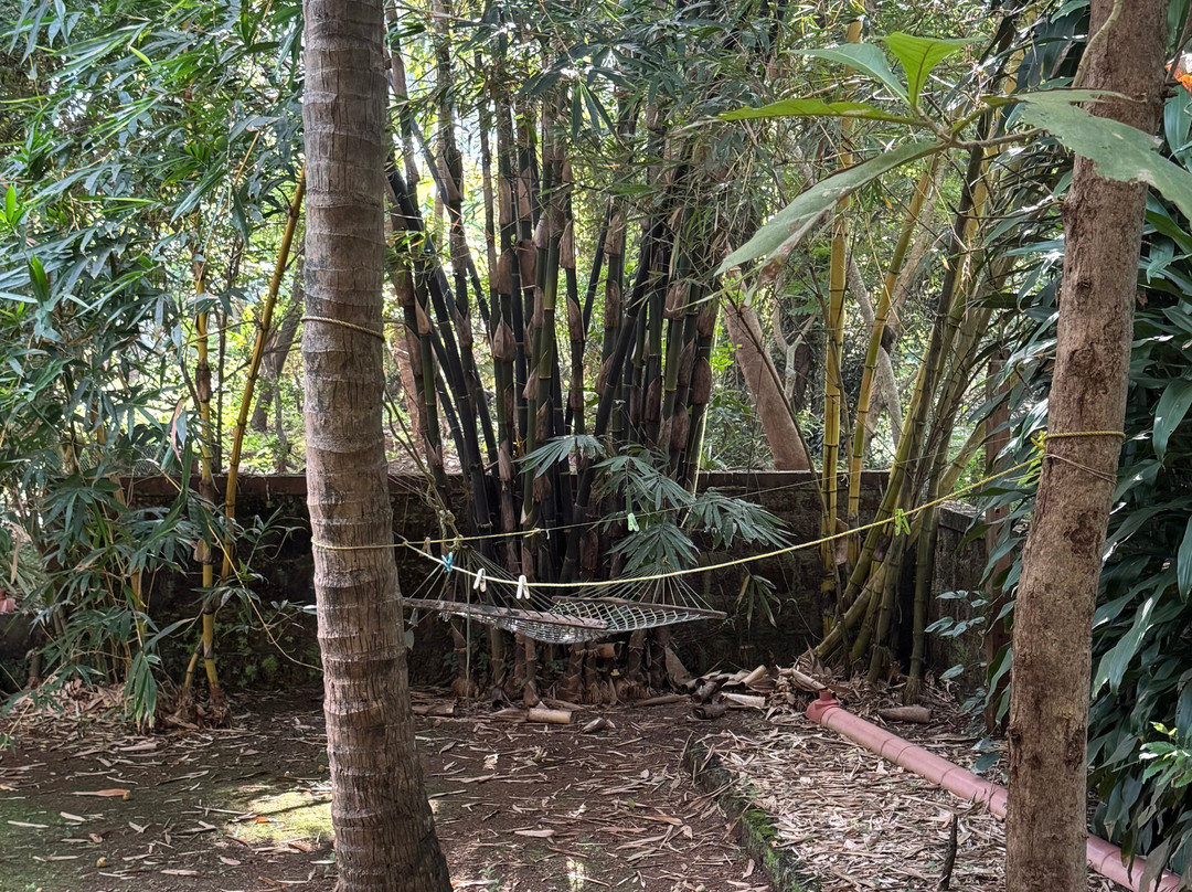 Ivory Coast'e Homestay主图