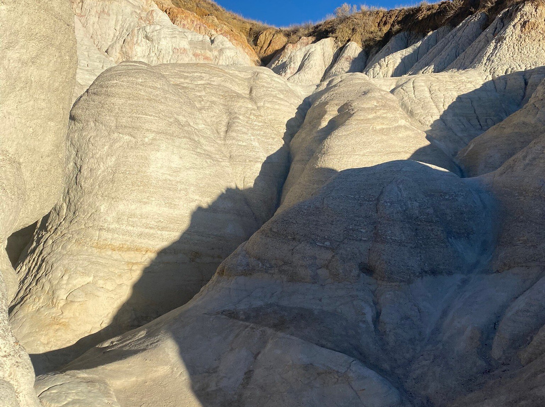 Paint Mines Interpretive Park景点图片