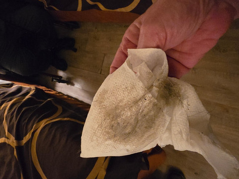 伊丽莎白敦温德姆速8酒店主图