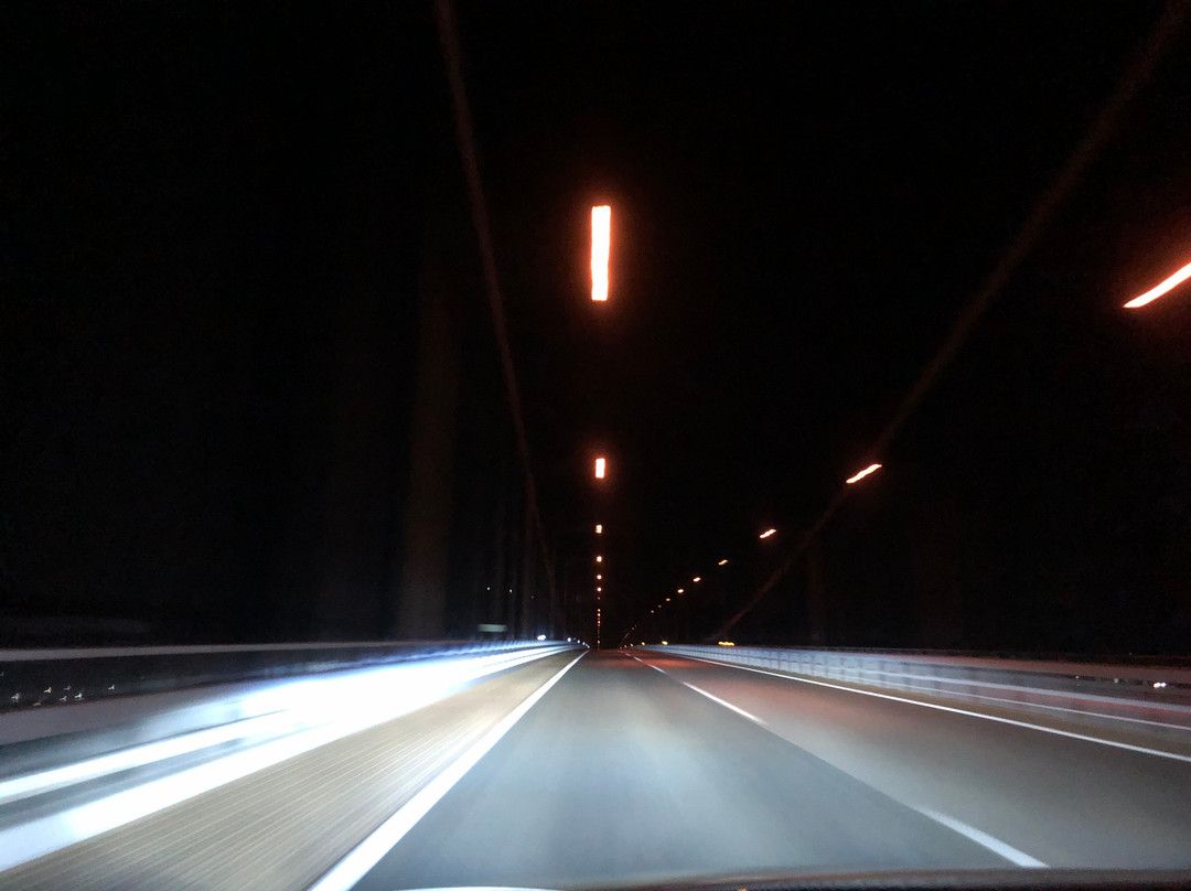 Innoshima Bridge-尾道市必去景点