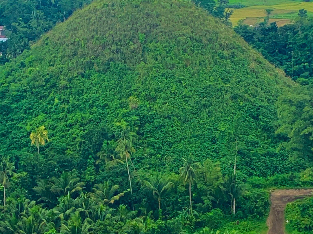 Bohol Transfers景点图片