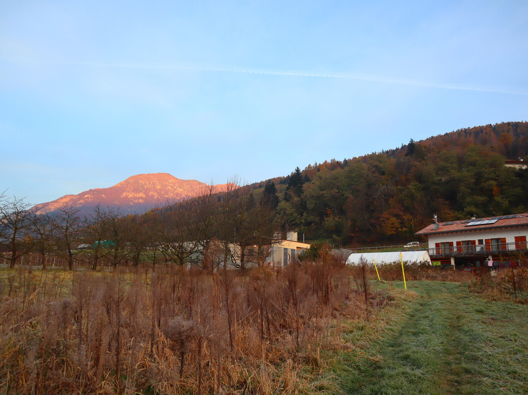 Agritur Maso Flonkeri主图