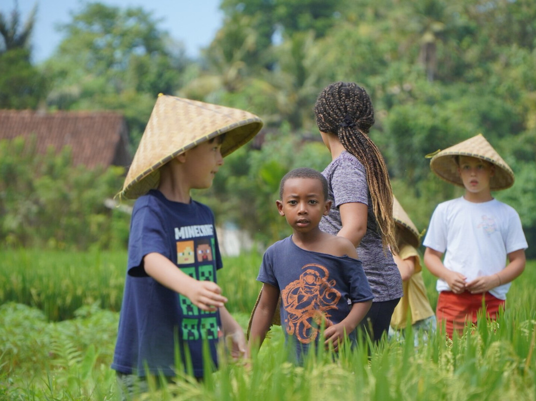 Bali Agritours景点图片