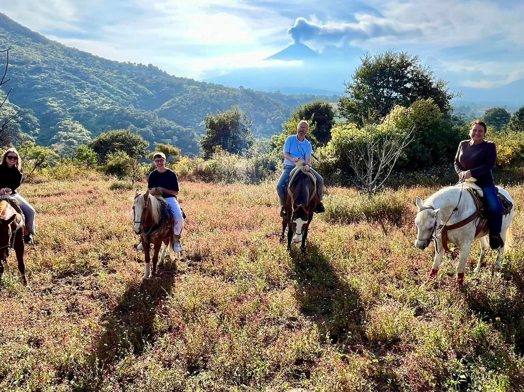 Cabalgatas Puebla景点图片