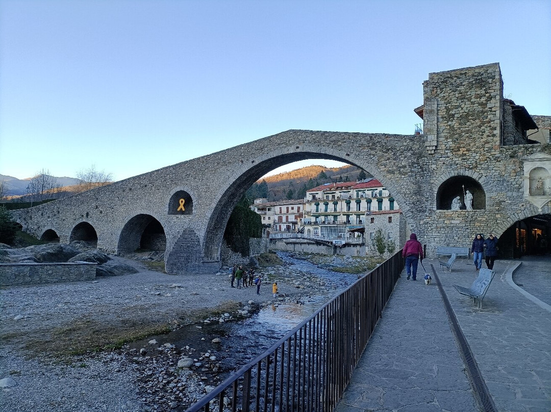 El Pont Nou景点图片