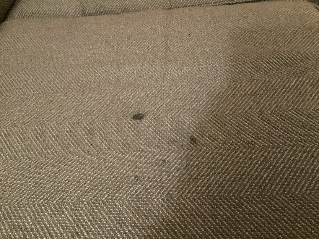 Comfort Inn & Suites主图