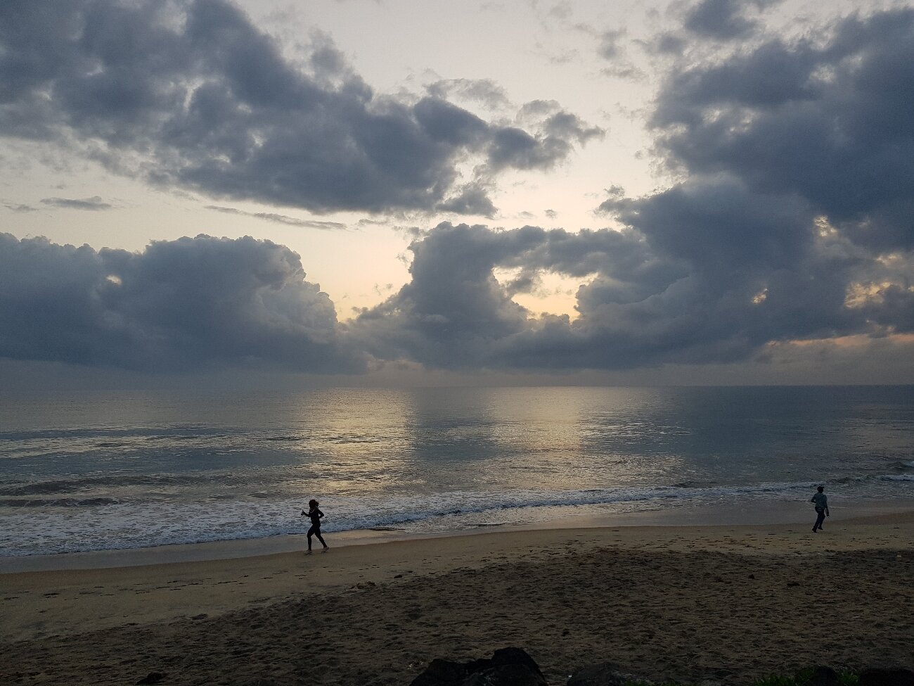 Ocean 501-官方