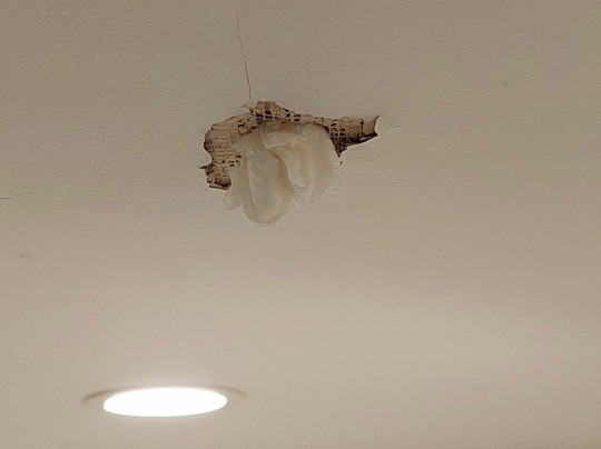 皇家展览馆宾馆主图