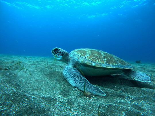 One Two Dive-奥德杰海岸必去景点