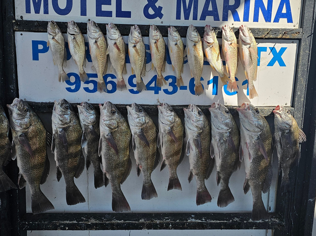 Crystal Flats Guide Service-南帕诸岛必去景点