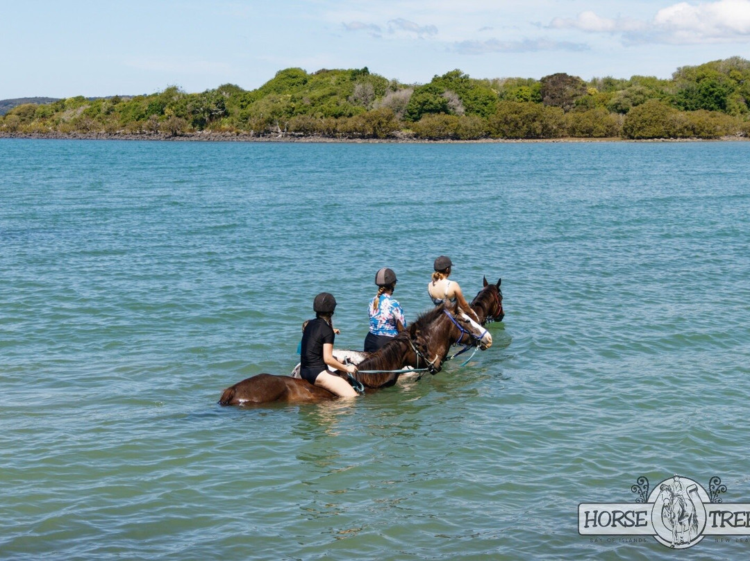 Horse Trek'n-派希亚必去景点