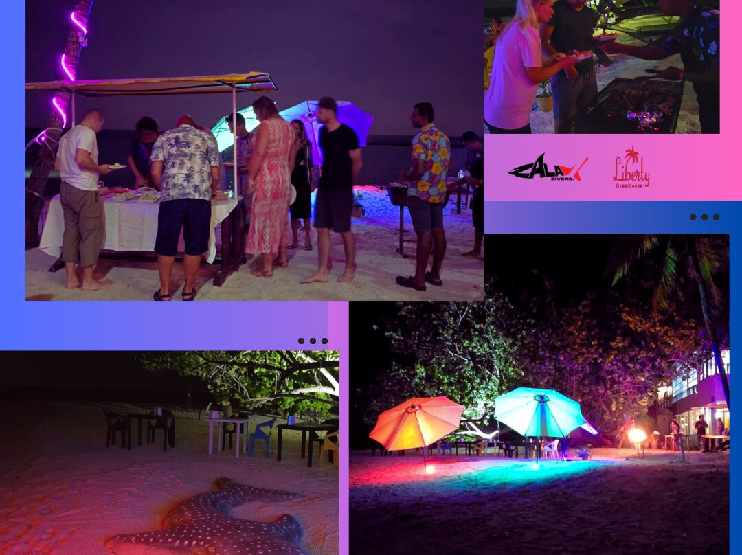 马尔代夫自由旅馆主图