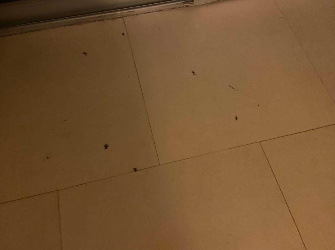 Hotel Golf Beach & Spa主图