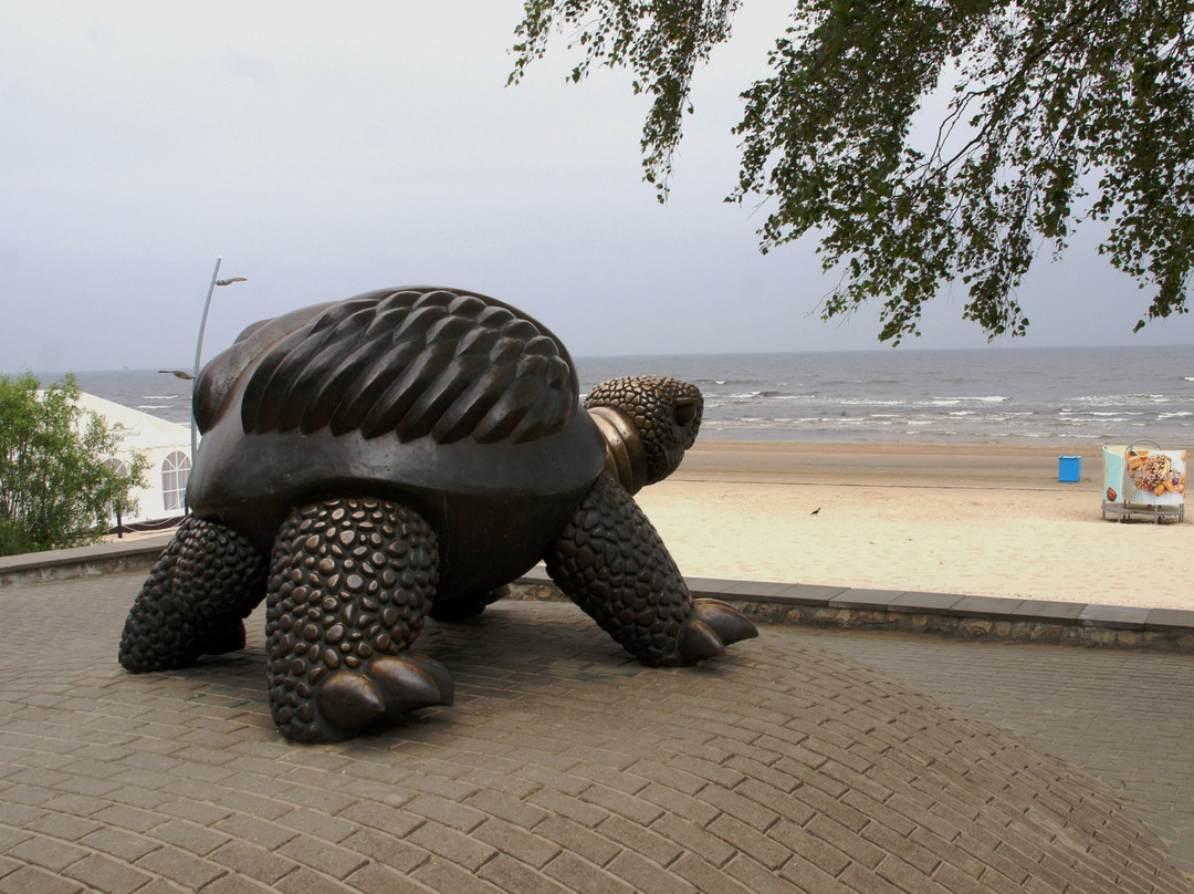 Brunurupucis (The Turtle)-尤尔马拉必去景点