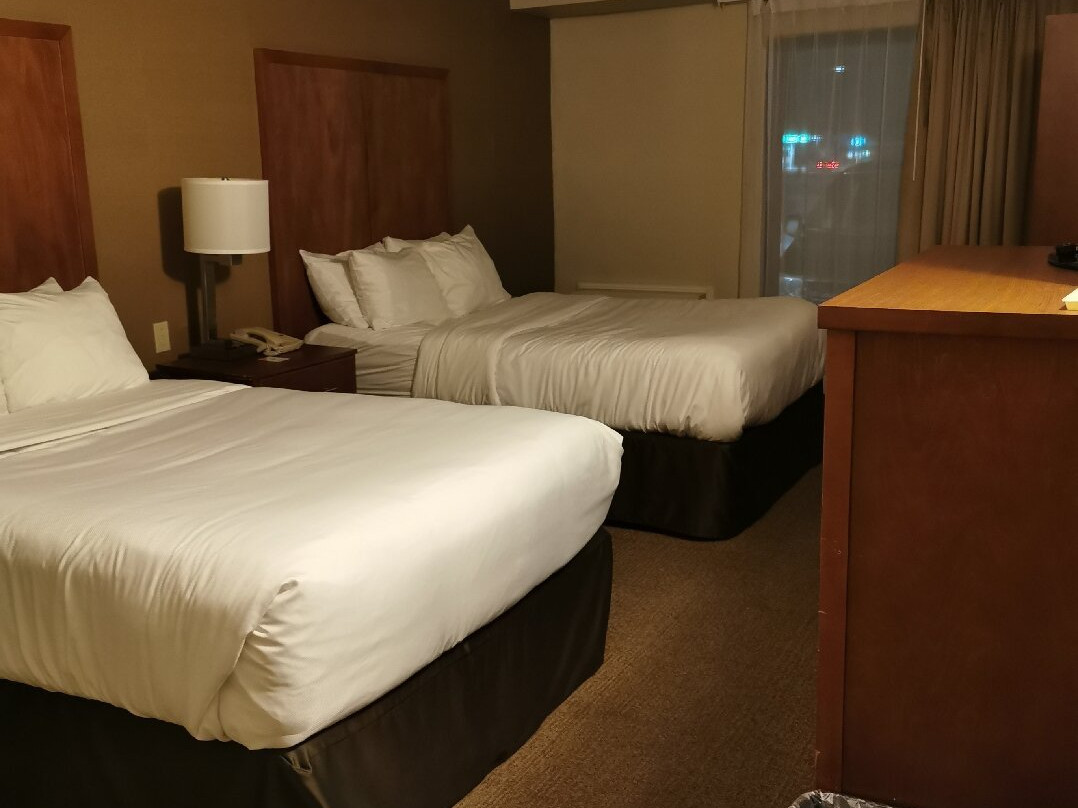 Comfort Inn Bathurst主图