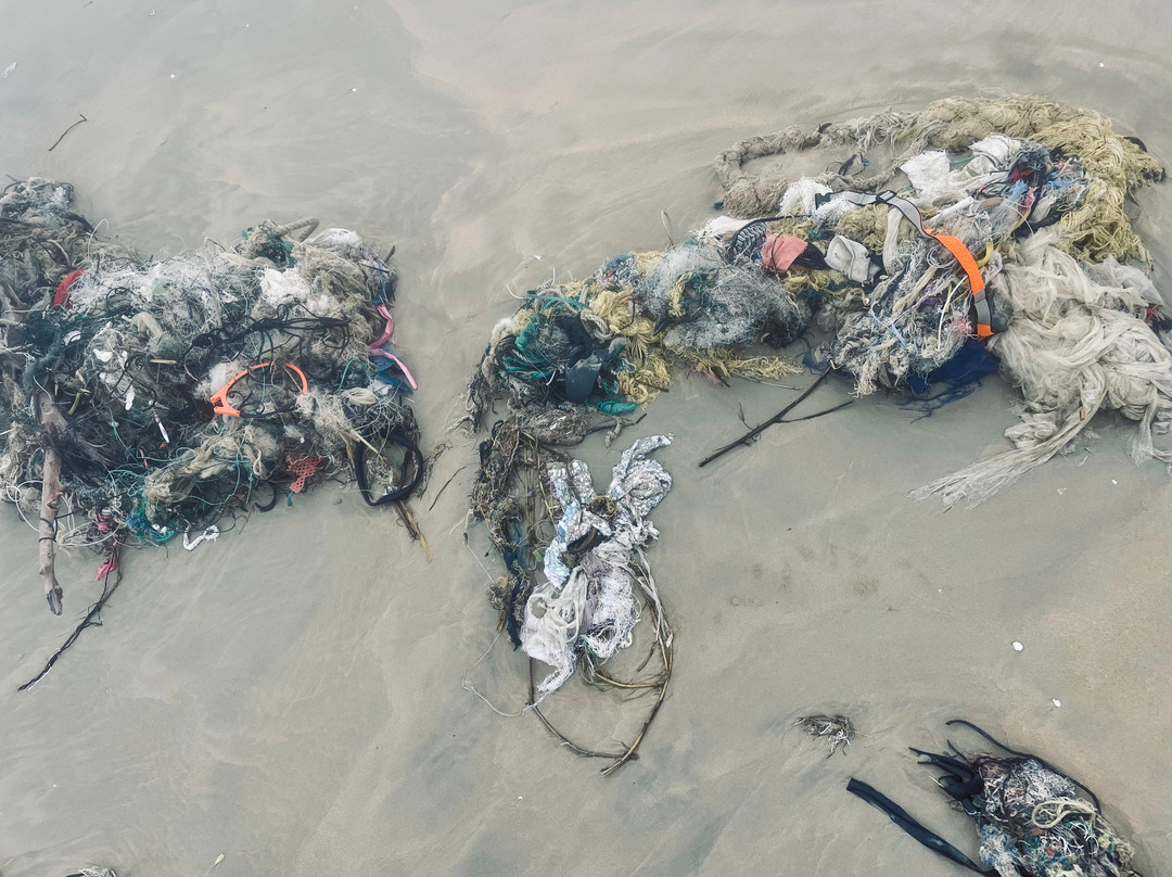 Robinson Nam Hoi An主图