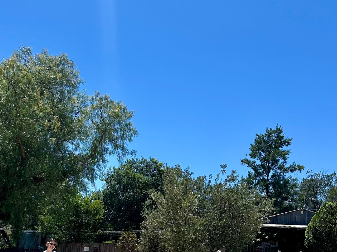 Burnbrae Wines-马奇必去景点