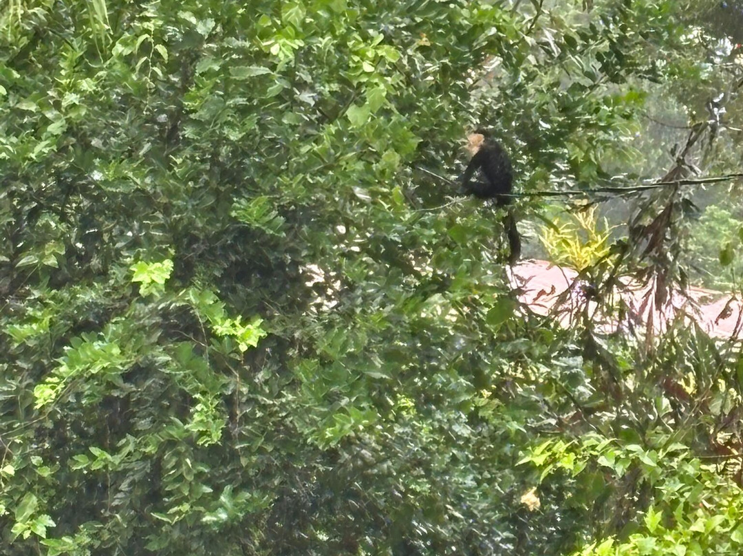 Playa Bluff Hotel主图