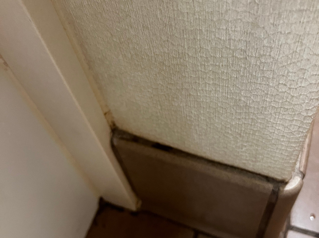 Embassy Suites by Hilton Savannah Airport主图