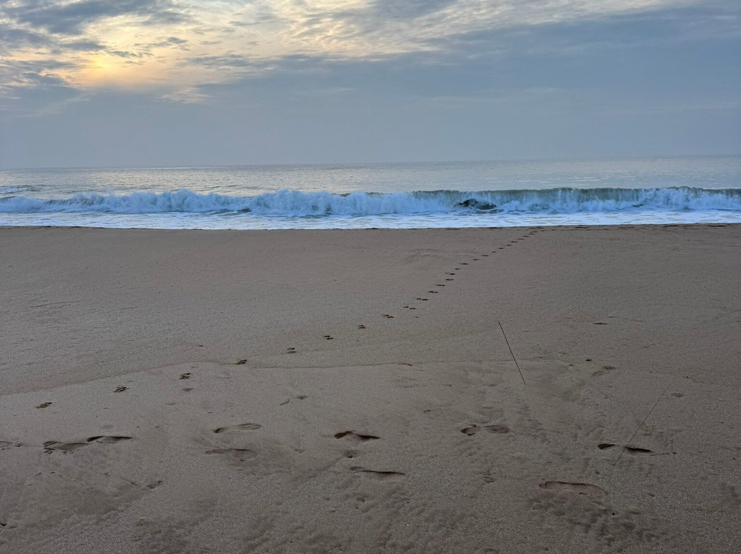 Bungalow By The Beach主图