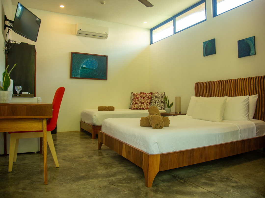 The White Palms Of Nosara