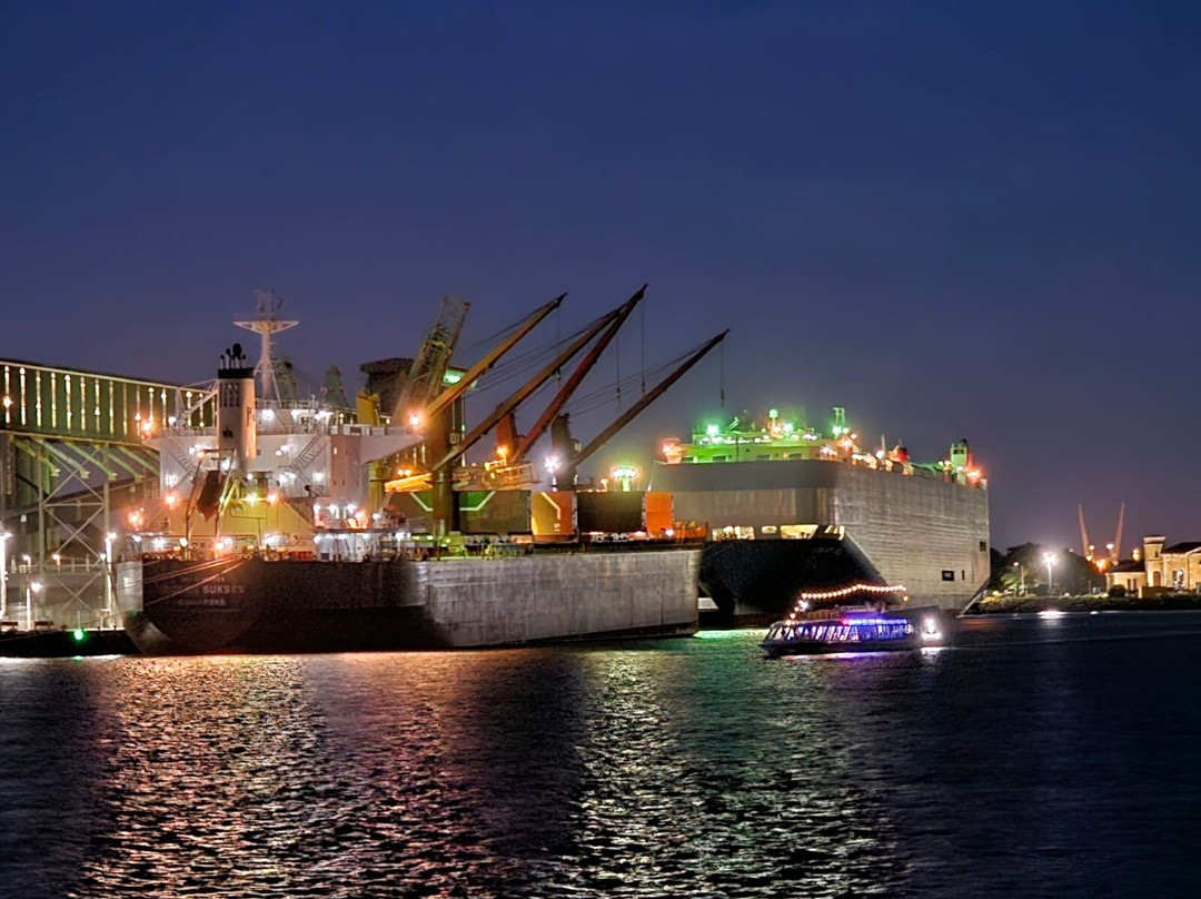 Nova Cruises景点图片