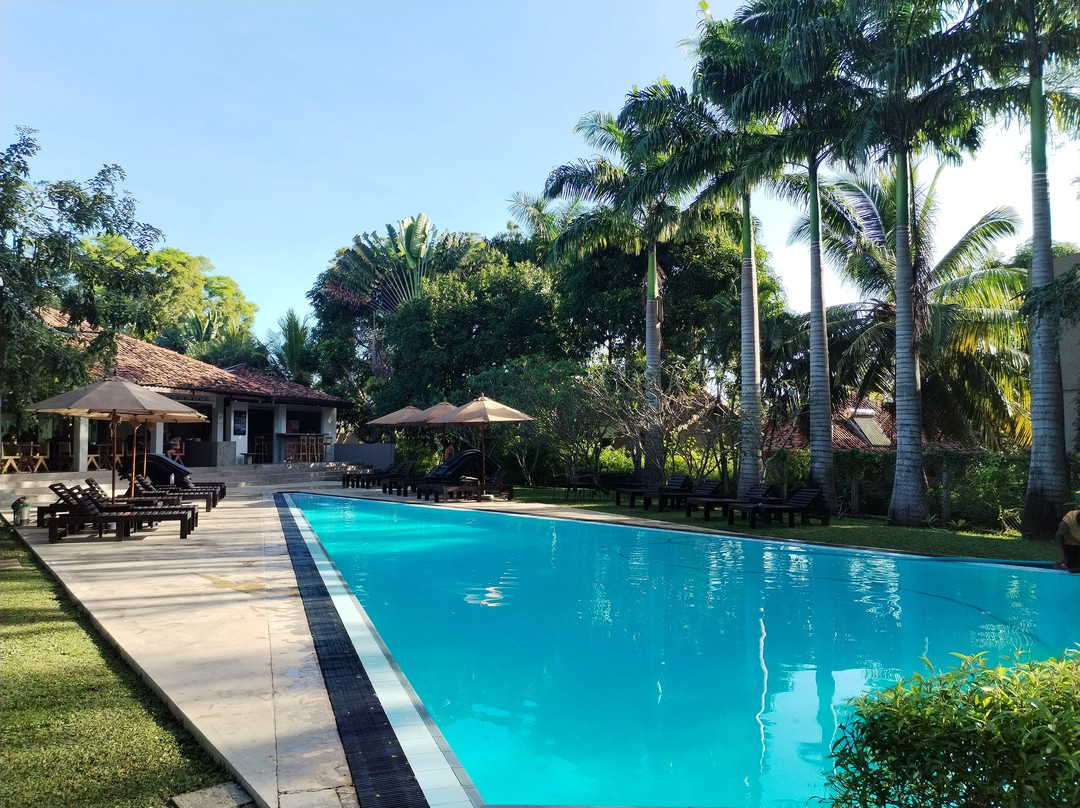 棕榈天堂小屋别墅主图