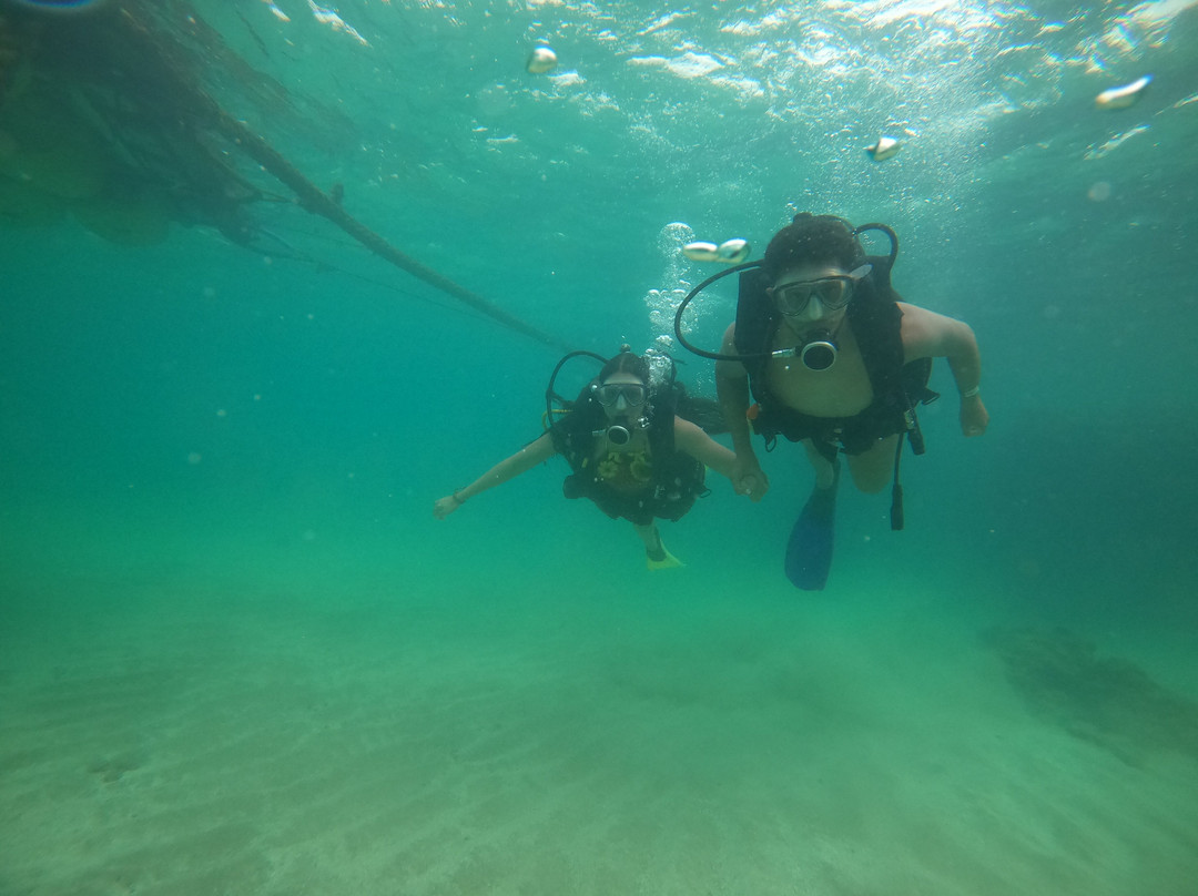 Deep Dive Adventures-嘎林海斯港必去景点