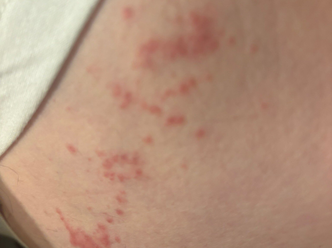 Tru by Hilton Greenville Woodruff Road主图