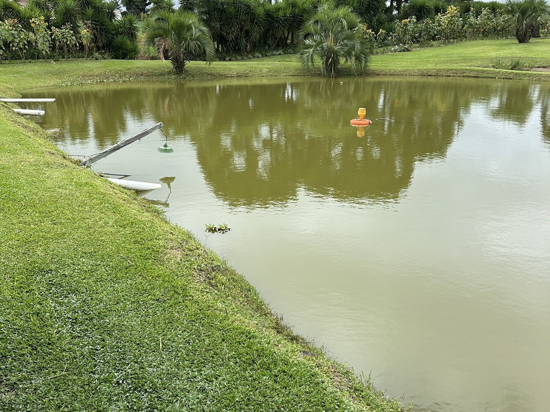 Pousada Vollweiter主图