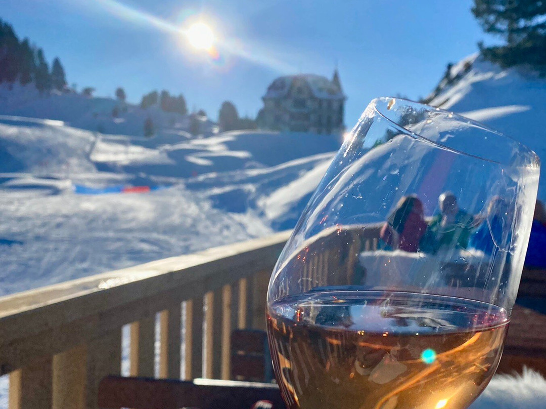 Villa Cassel - Pro Natura Zentrum Aletsch-利德阿尔卑必去景点