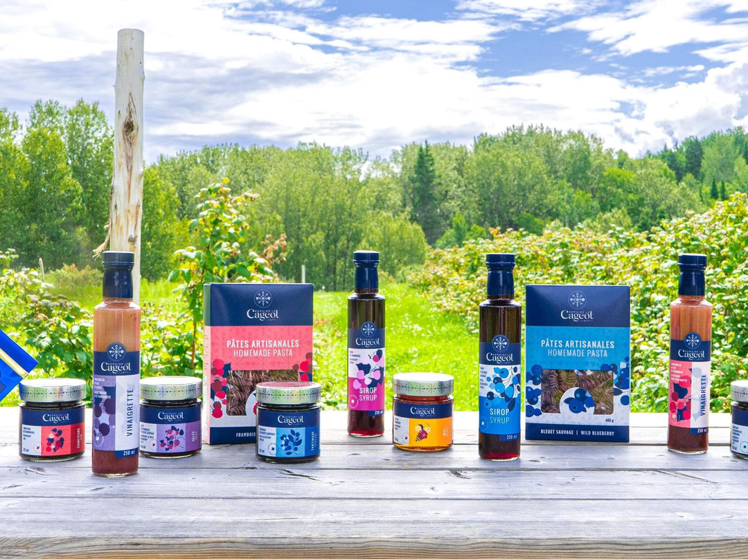 Domaine Le Cageot - Vignoble & Distillerie-Jonquiere必去景点