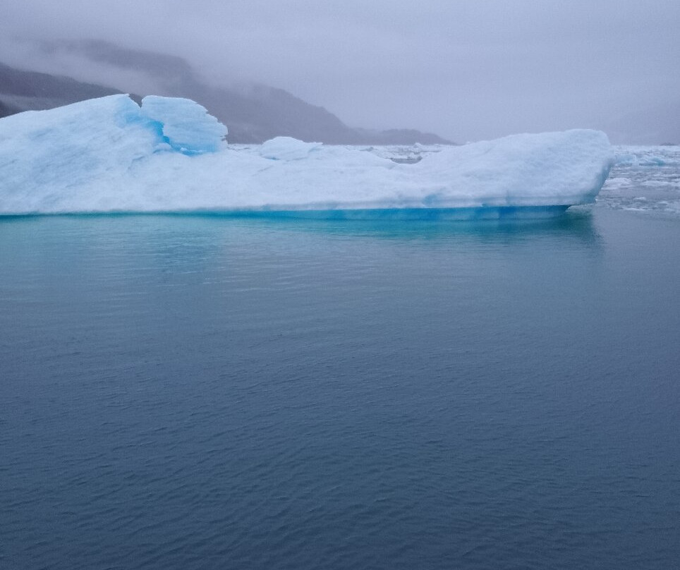 Canales Australes-Tortel必去景点
