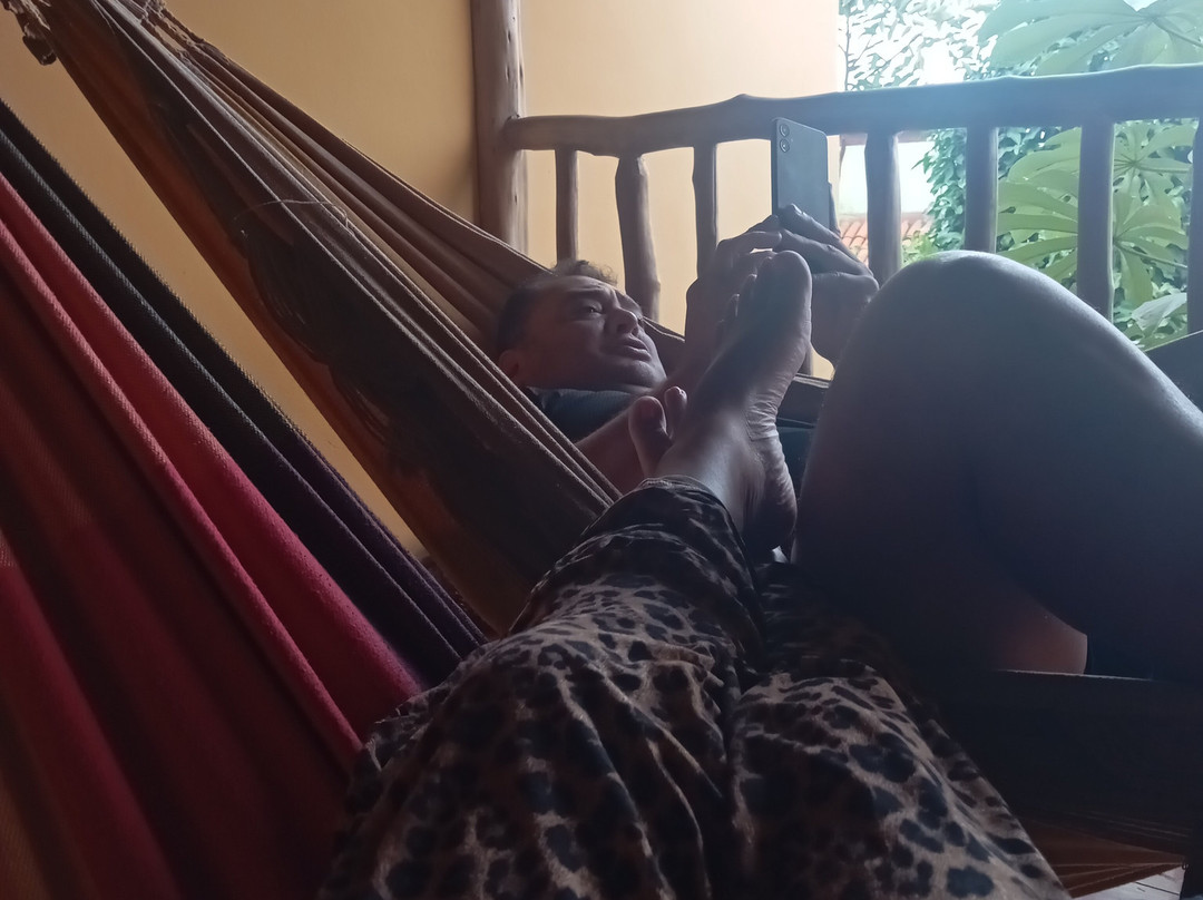 Pousada Alto Do Cajueiro主图