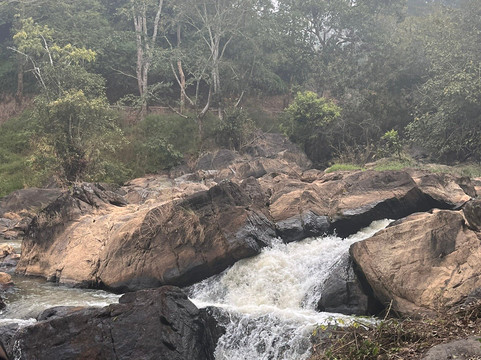 Elephant Trail 16.0-Cherambadi必去景点