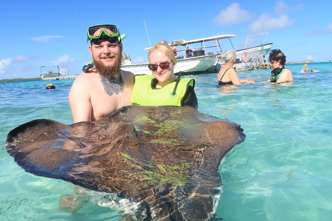 Stingray City景点图片