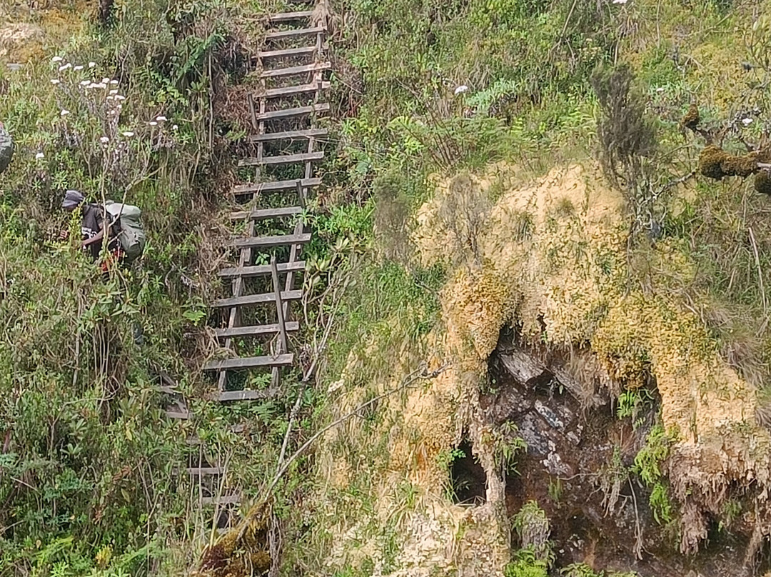 Rwenzori Trekking Services-Kasese必去景点