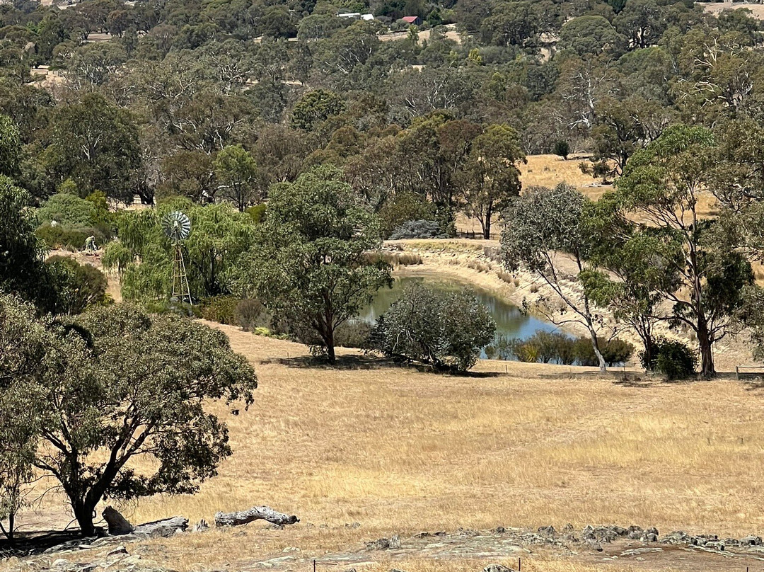 MillDuck StrawBale B&B主图