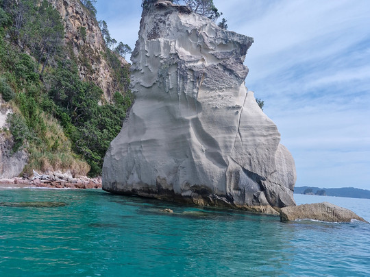 Mercury Bay Discoveries - Cathedral Cove & Coastal Tour-菲蒂昂格必去景点