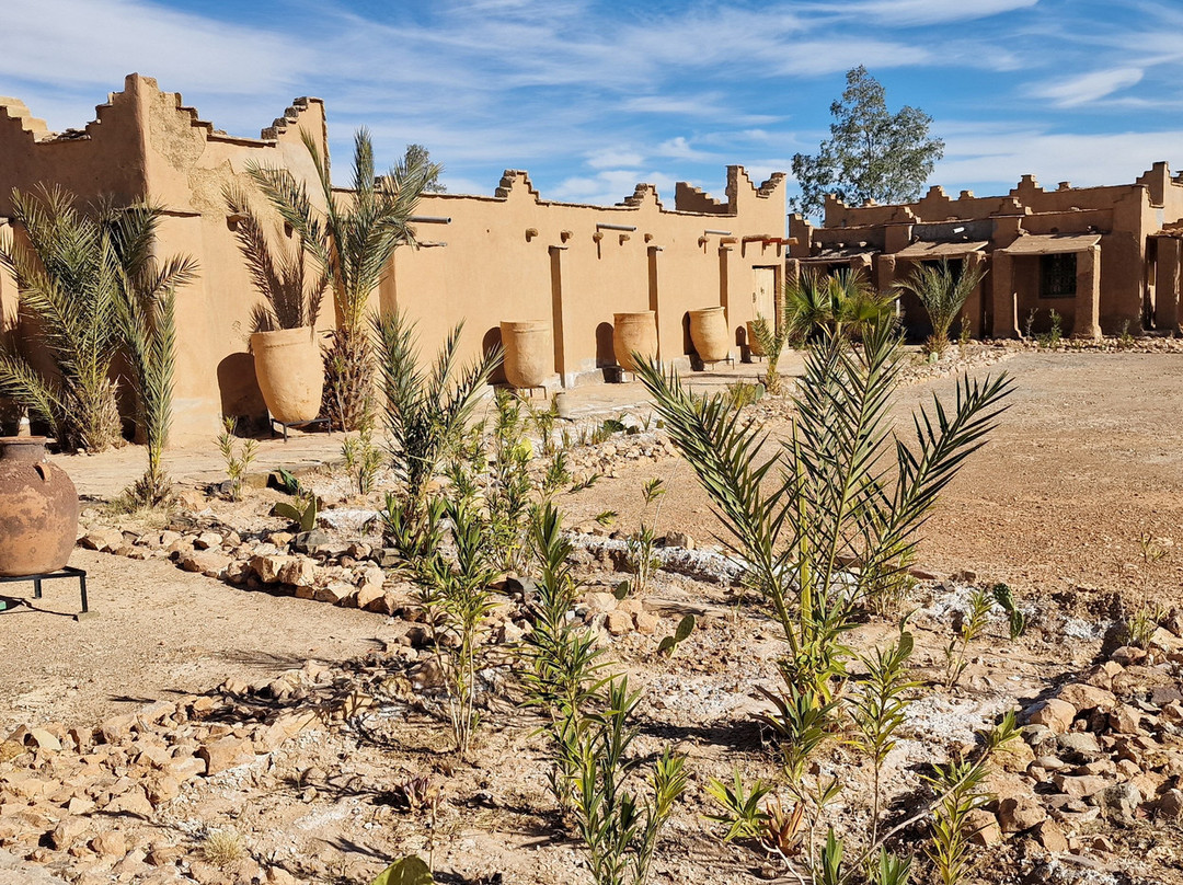 Le Musée des Sources de Lalla Mimouna-Tinejdad必去景点