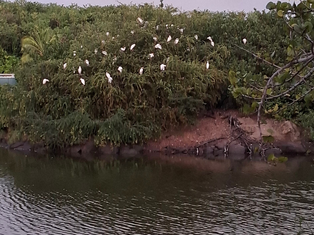 Royalton Lake-Port Salines必去景点
