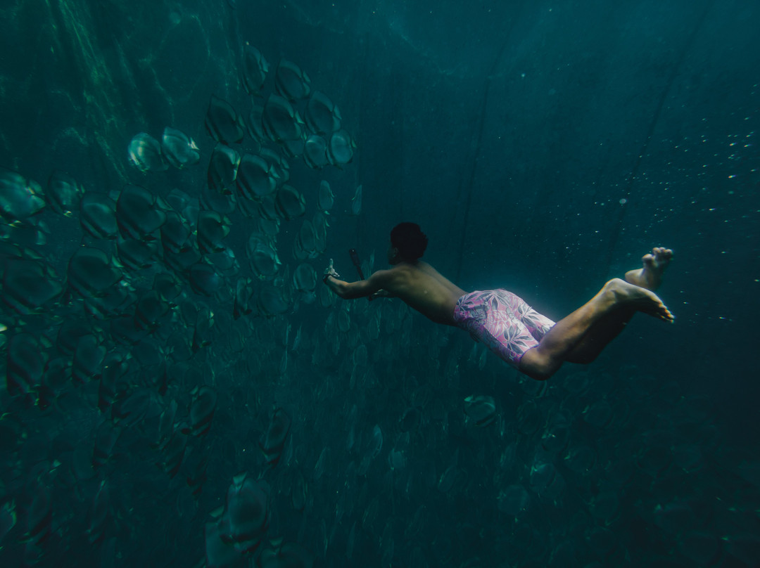 Heremiti Ura Excursion-Vairao必去景点